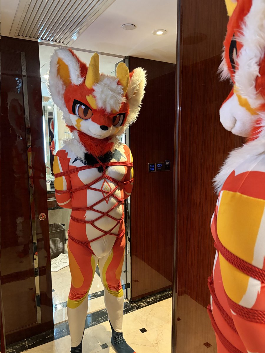 白晨→绒萌 tweet media