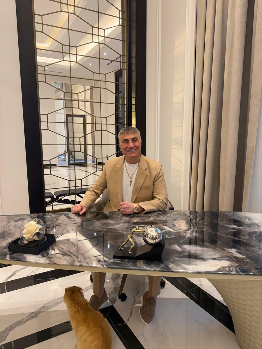 Emir Güzel tweet media