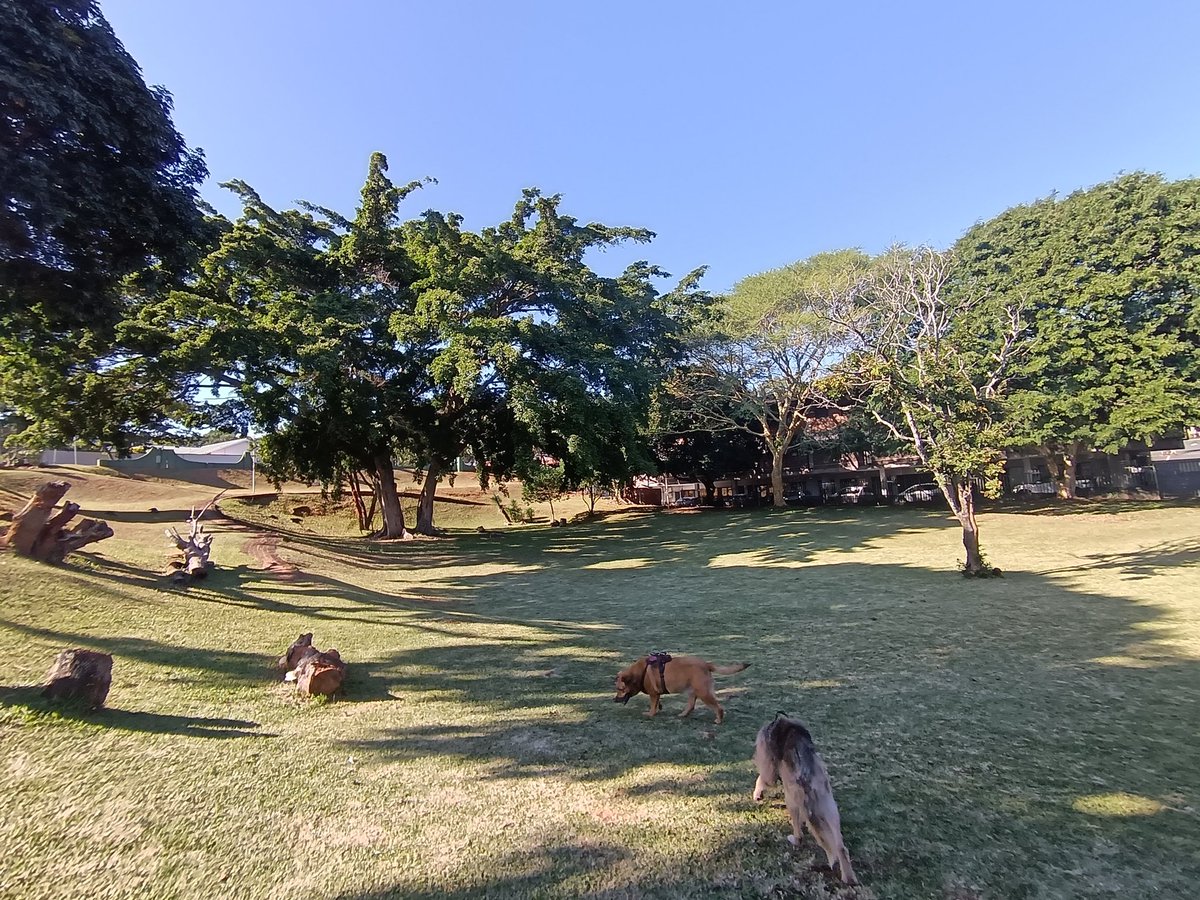 ladydebidebz1's tweet photo. Pawfect weather for a Bimble
πππ₯°
#PawPatrol
#ParkTime
#SpecialTime
#Saturdaying
#GottaLoveTheFurries https://t.co/DX7p32NtOb