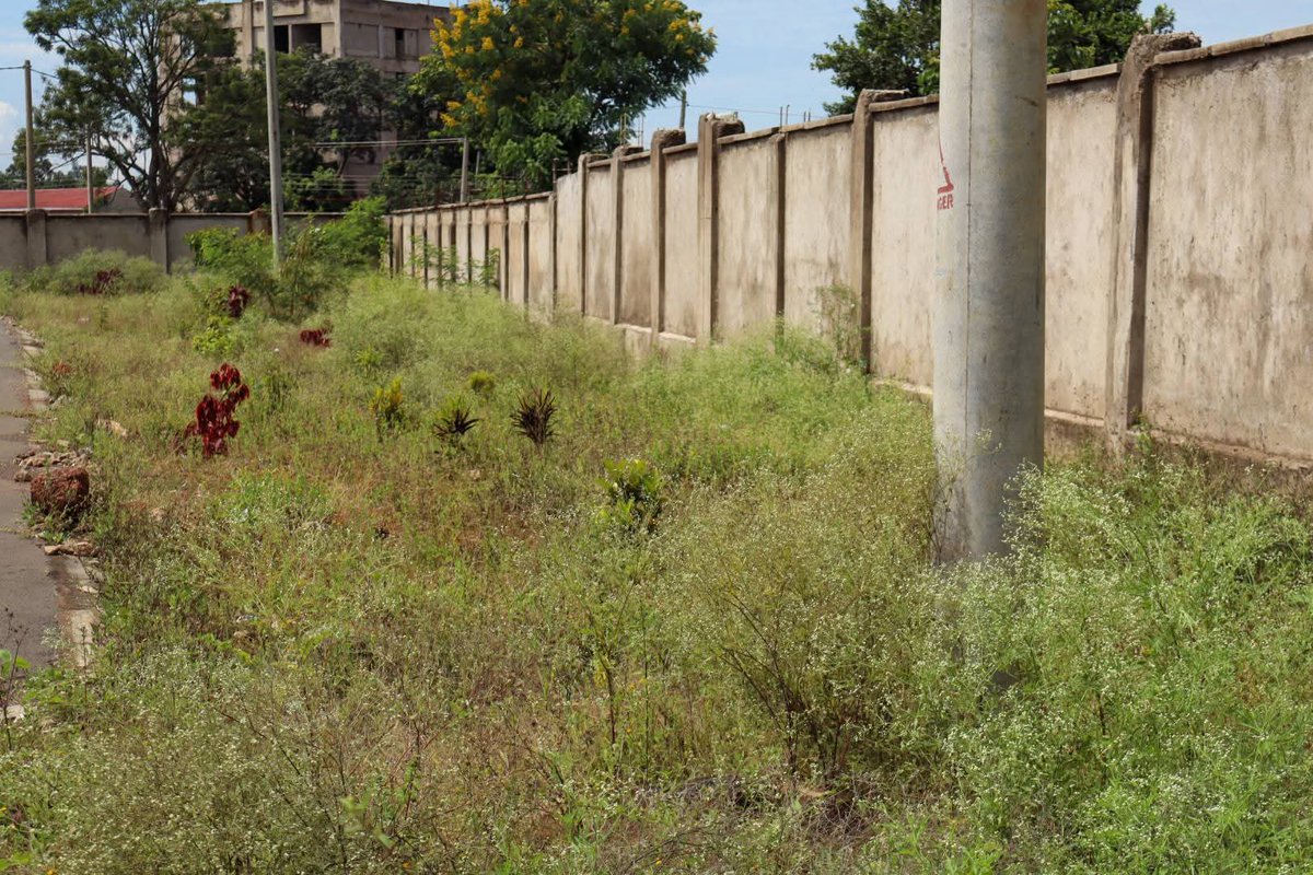 TeyaKevin's tweet photo. Masinde Muliro Stadium was renovated at a cost of Ksh 790 million in 2024.

Today, the facility lies abandoned, with the playing surface so overgrown that the grass could easily conceal an anaconda. https://t.co/WREBo9eVv4