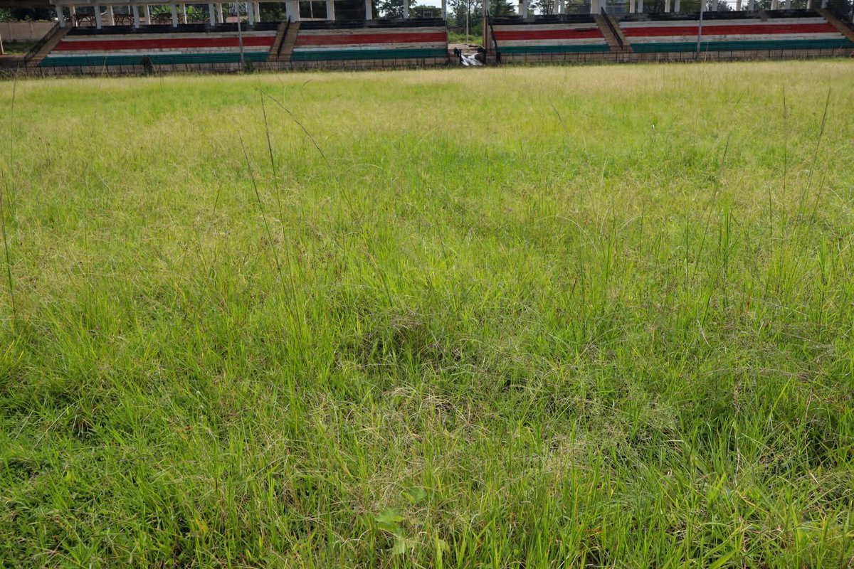 Masinde Muliro Stadium was renovated at a cost of Ksh 790 million in 2024.

Today, the facility lies abandoned, with the playing surface so overgrown that the grass could easily conceal an anaconda.