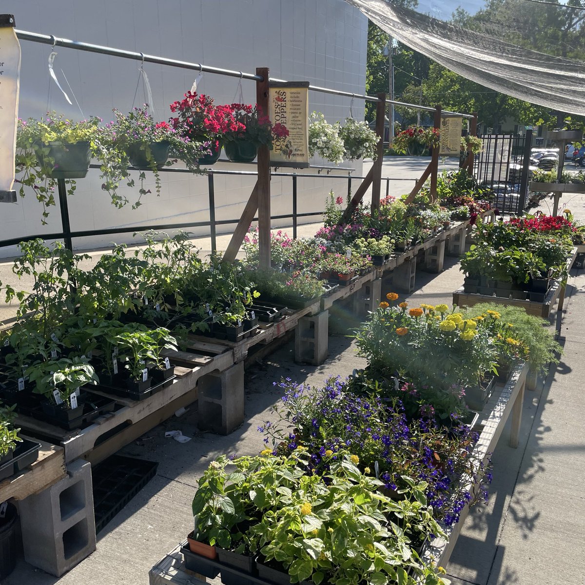 Cottins's tweet photo. Plants from @vinland_valley_nursery would make an EXCELLENT Mother’s Day gift as well…. #shoplocal https://t.co/QBsfSUC0Xd