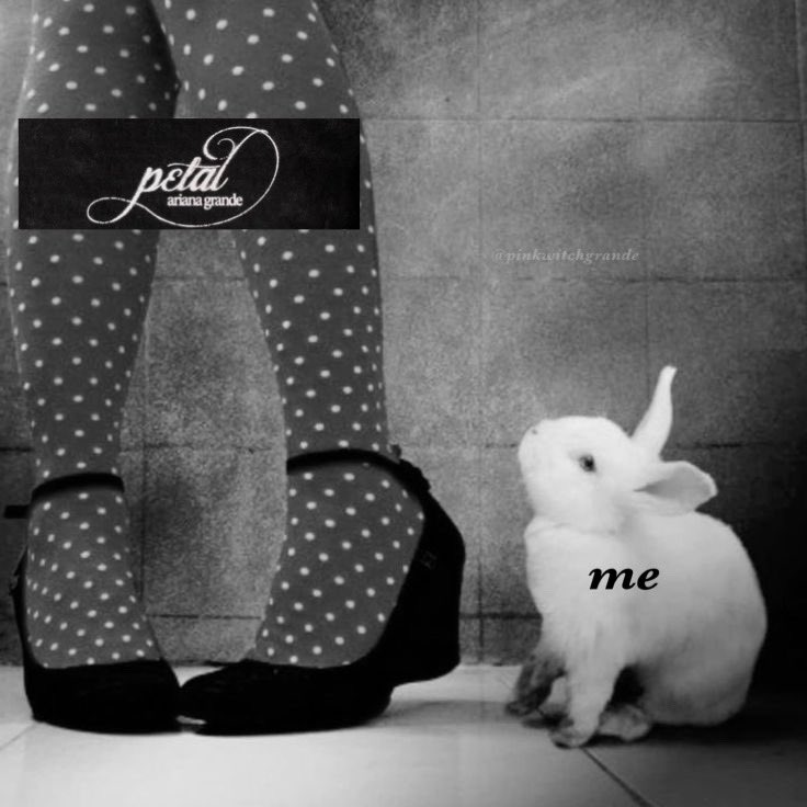 ‧₊˚ꕤ ₊˚⊹♡