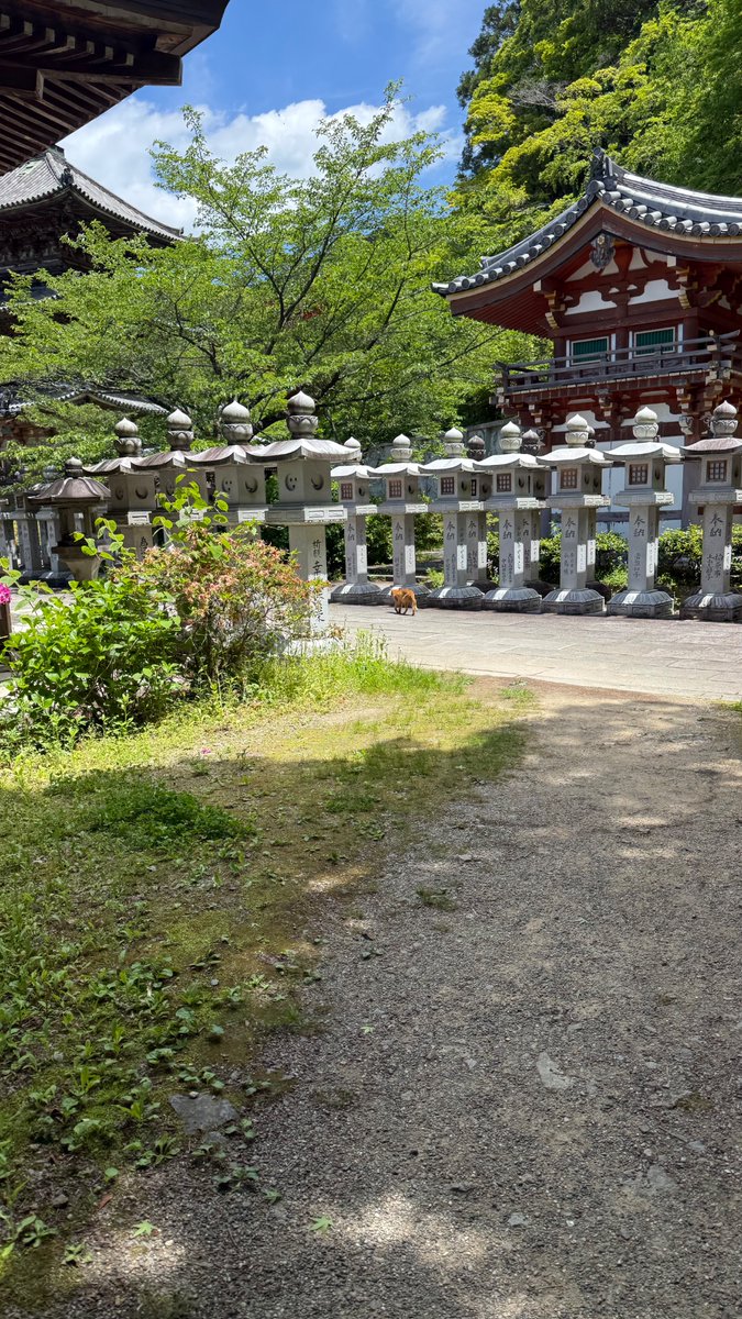 生八橋モナカソ tweet media