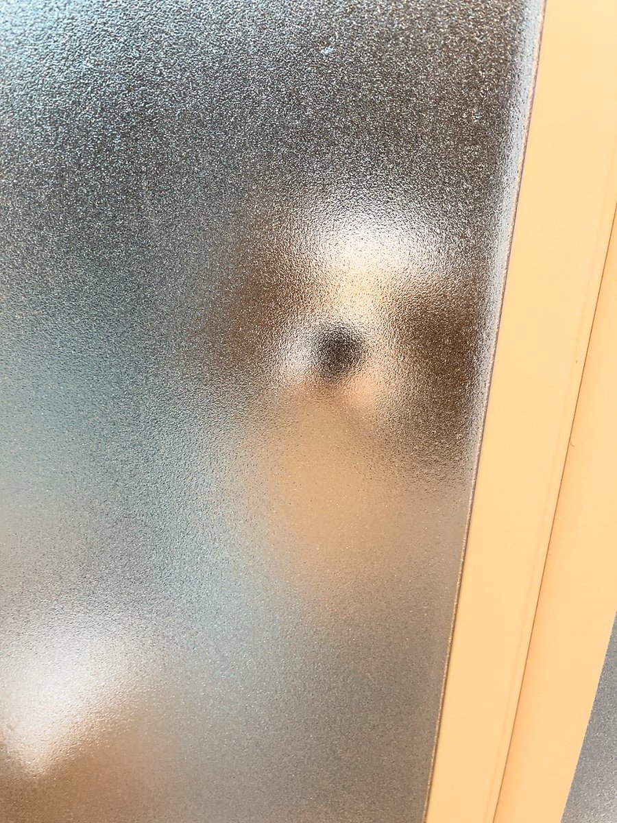 ゆり🐶飼い主（妻） tweet media