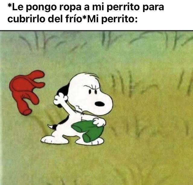 Max 🇦🇷 tweet media