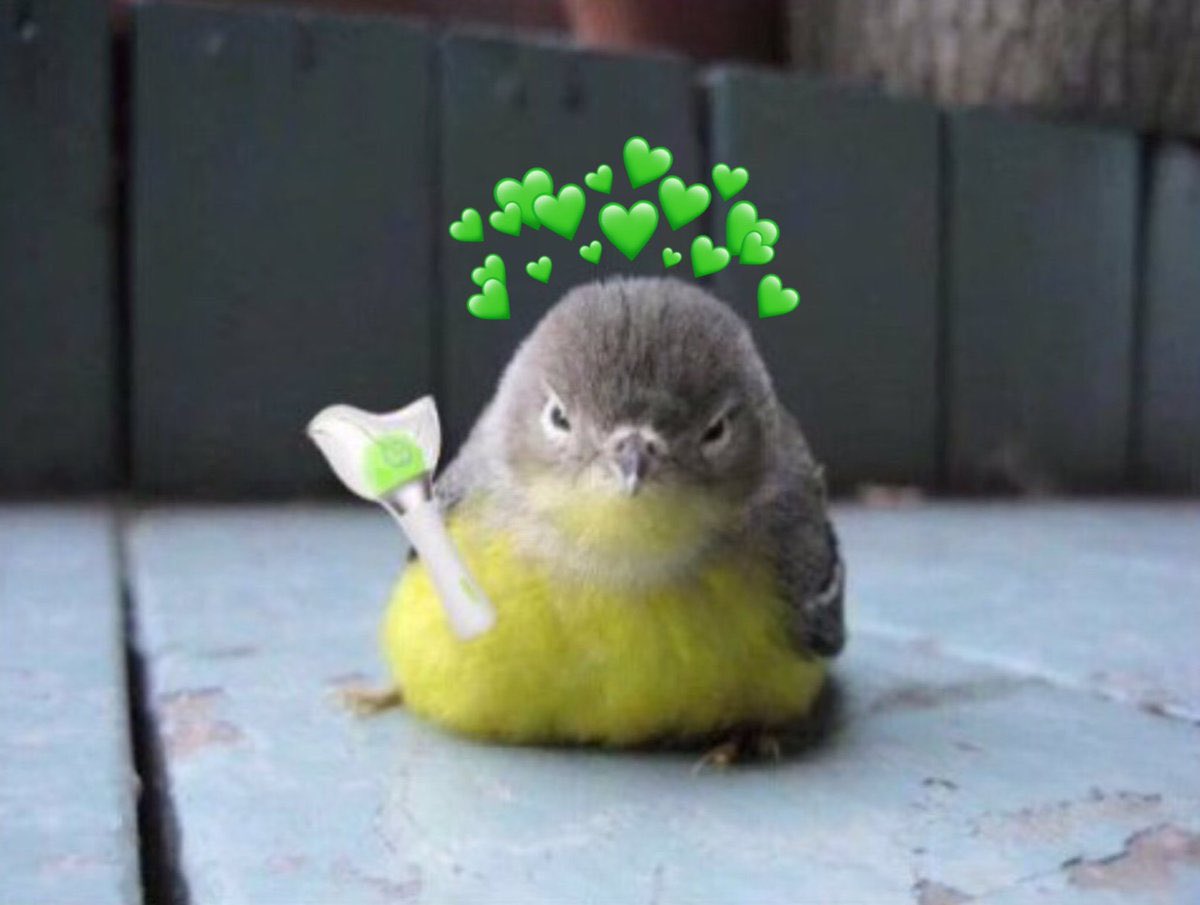 เพื่อนรักพิจบม 💚รับหิ้ว MD #SaidandDone_POPUP tweet media