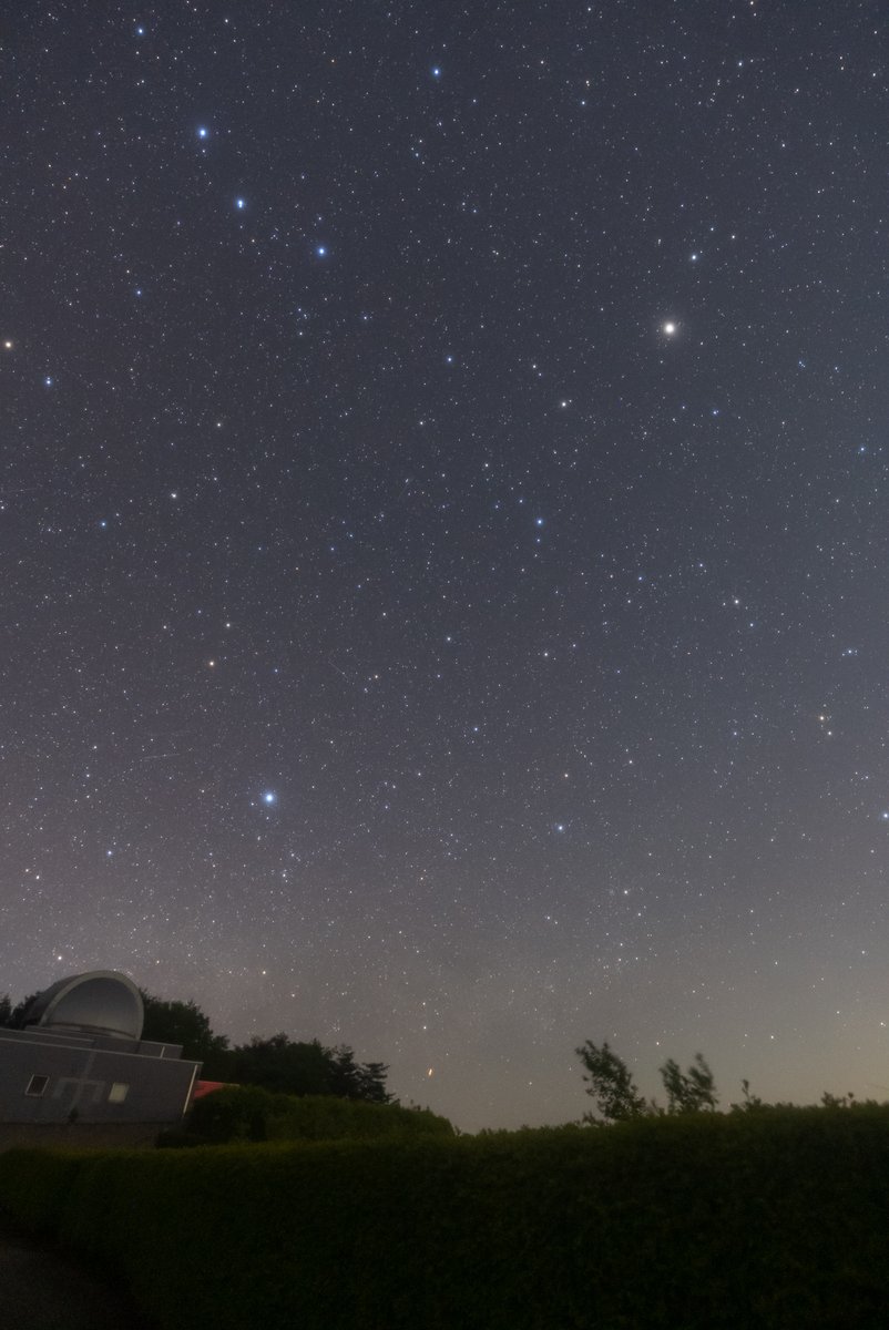 彦星⭐︎ページ 織姫彦星