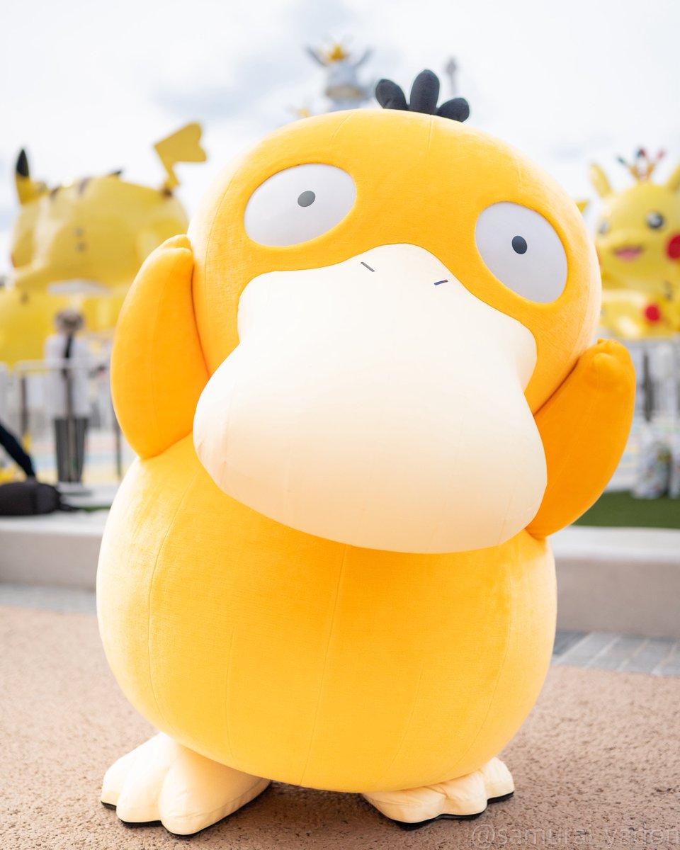 ヤドンといつもなかよしな #コダックの日 いつか、ポケパークで ヤドン ヤドンといつもなかよしな #コダックの日 いつか、ポケパークで ヤドン