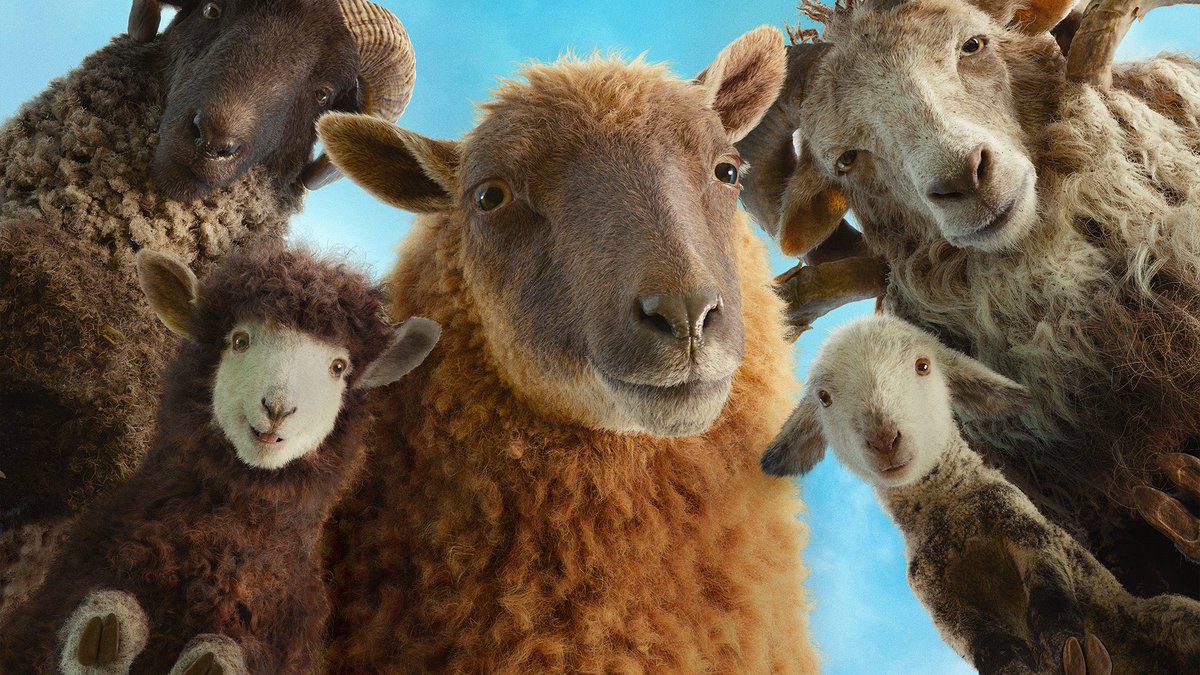 liamdearden's tweet photo. Believe what you’ve herd: #TheSheepDetectives is an absolute shear delight. 🐑🔍 A cozy Ewe-dunnit 
that feels like Agatha Christie wandered onto a farm and started solving murders with Sheep, in this new breed of mystery. A woolly suspicious murder is committed that blends the heartfelt charm of Babe with the clever ensemble mystery fun of Knives Out and it works Baa-rilliantly. It's Baa-utiful, heartfelt, witty, and Ram-bunctiously entertaining,  It made me laugh, tear up, and smile from ear to ear. thanks to Craig Mazin’s excellent screenplay and Kyle Balda’s direction. Beneath all the laughs and sheep puns is a surprisingly moving story about family, acceptance, mortality, belonging, and the power of remembering the people we love and holding onto memories. The warmth, & unexpected emotional depth really sneaks up on ewe. They just don’t make crowd-pleasing talking-animal adventures like this anymore.

Led by an Un-bleat-able flock of suspects and a fantastic voice cast that gave each sheep their own distinct personality, alongside the legendary Ewe Jackman, this murder most fleecey completely won me over. One of the year’s most unexpectedly charming mysteries, I urge ewe and your families to flock to the nearest cinema immediately.
@SonyPicturesUK @AmazonMGMStudio