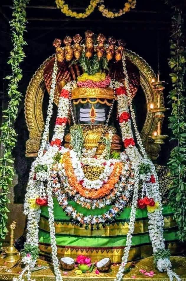 SivanDevotees's tweet photo. நற்றுணையாவது நமசிவாயவே ! 

#Tiruvannamalai #SivanDevotees https://t.co/G9EszsiDII