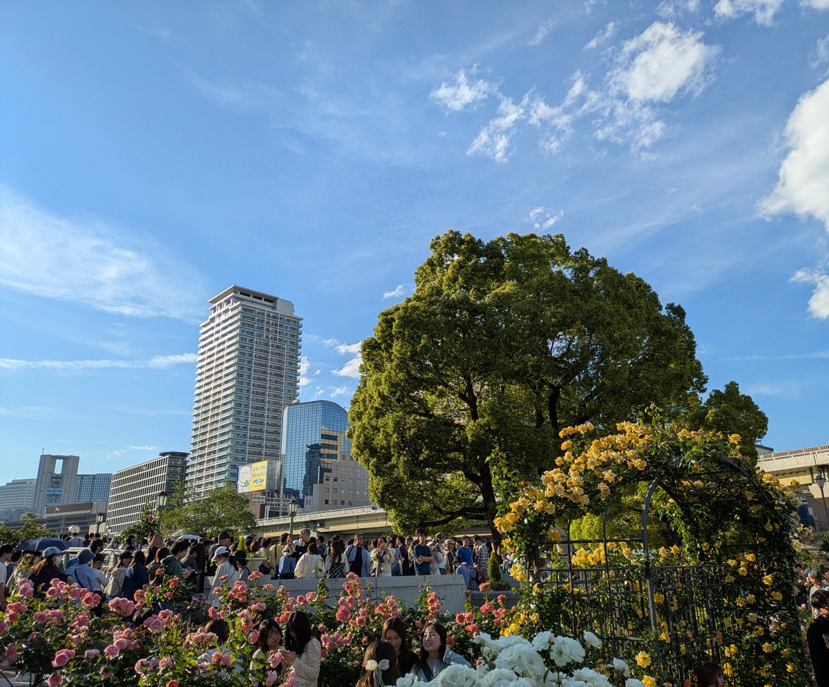 こんばんわ🌌

今日明日と土日休みで今日は買い物してからバラ園のある中之島公園の芝生広場へ寄り、大阪出身で今年でデビュー20周年を迎えた絢香さんのフリーライブを見てきました🎸🎹。

デビュー曲にして大ヒットの「I believe」や「三日月」、「にじいろ」などで圧倒的な歌声に感動でした😊。