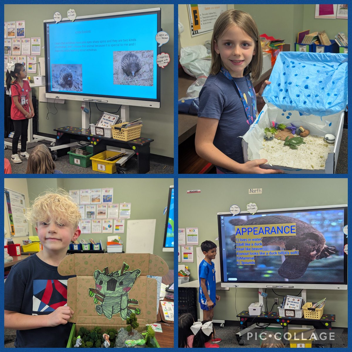 Mrs_Moore_TCES's tweet photo. Time to show what you know! My researchers presented their projects and taught the class what they learned through the research process. I love seeing their excitement &amp; confidence grow when it’s their turn to be the teacher. 💡📚
@TISDTCES  #StudentLedLearning 
#ProudTeacher https://t.co/pcxKUq6Iua