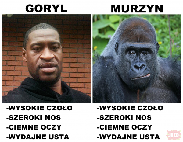 grott tweet media
