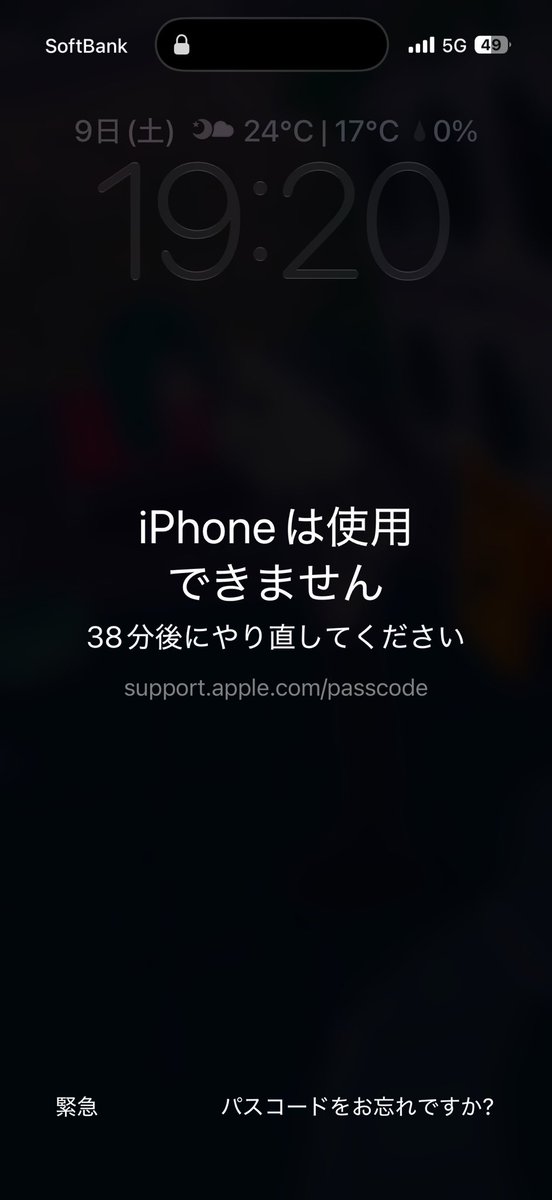 りこう tweet media