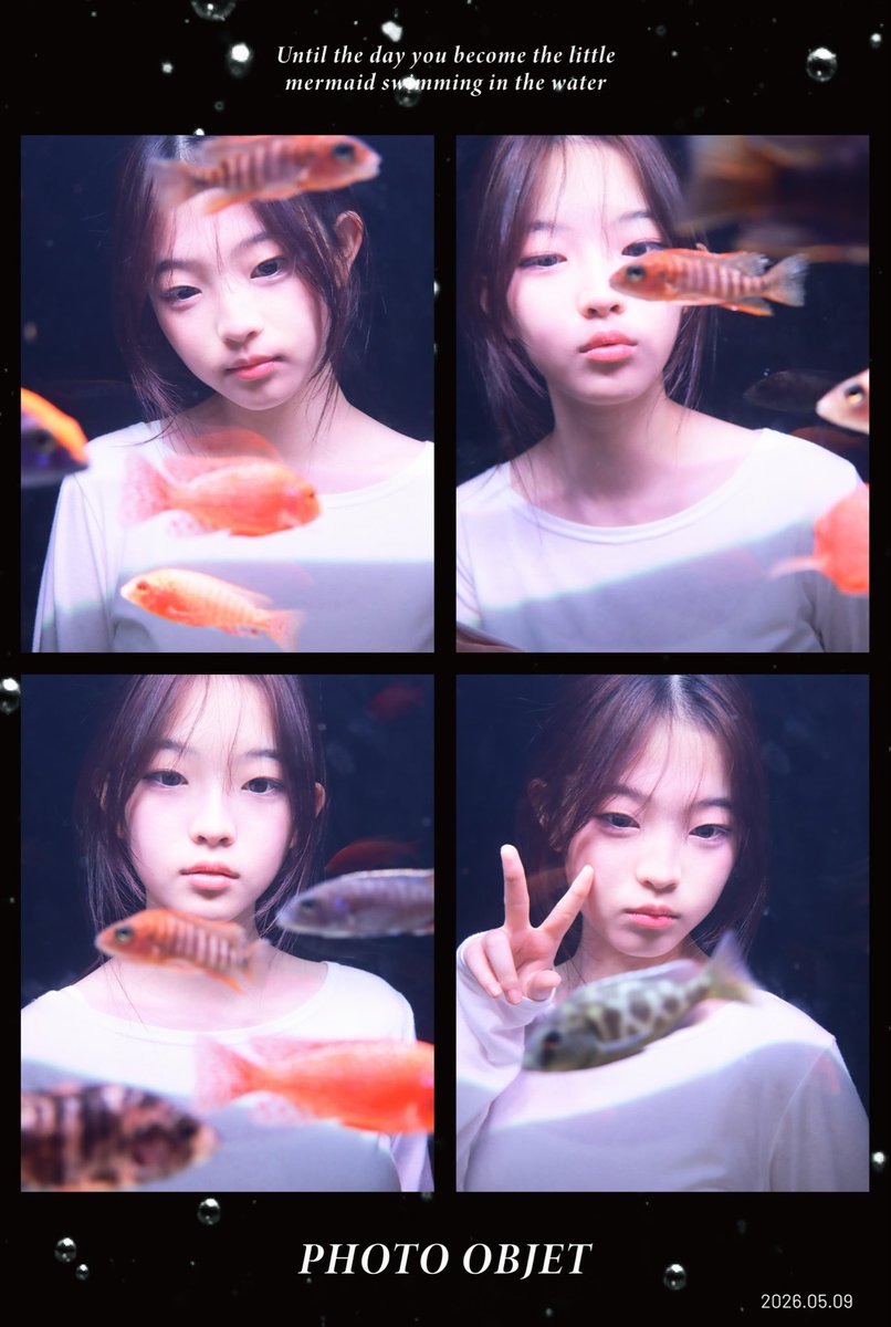 미암 tweet media