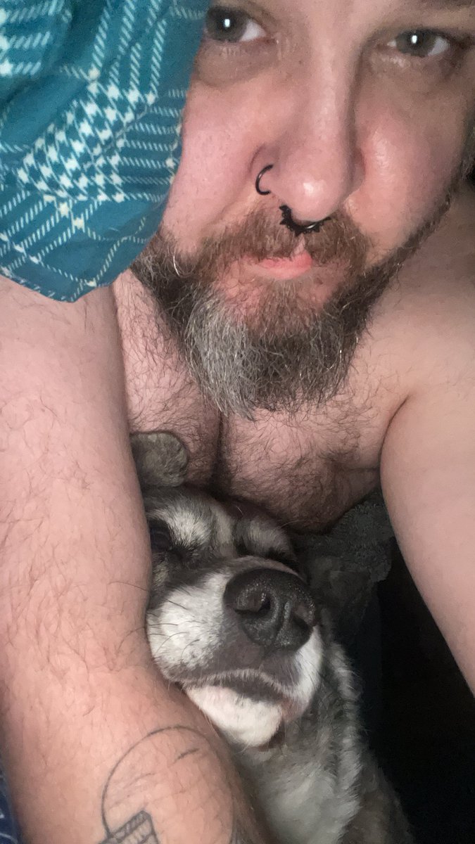 FluffyAstroNerd's tweet photo. This dog is such a big snuggle bug https://t.co/g2QW3xBgLv