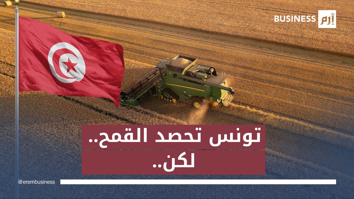 موسم مميز لإنتاح الحبوب في تونس.. فلماذا ستستورد القمح؟. لمزيد من الأخبار والتحليلات الاقتصادية تابعوا 