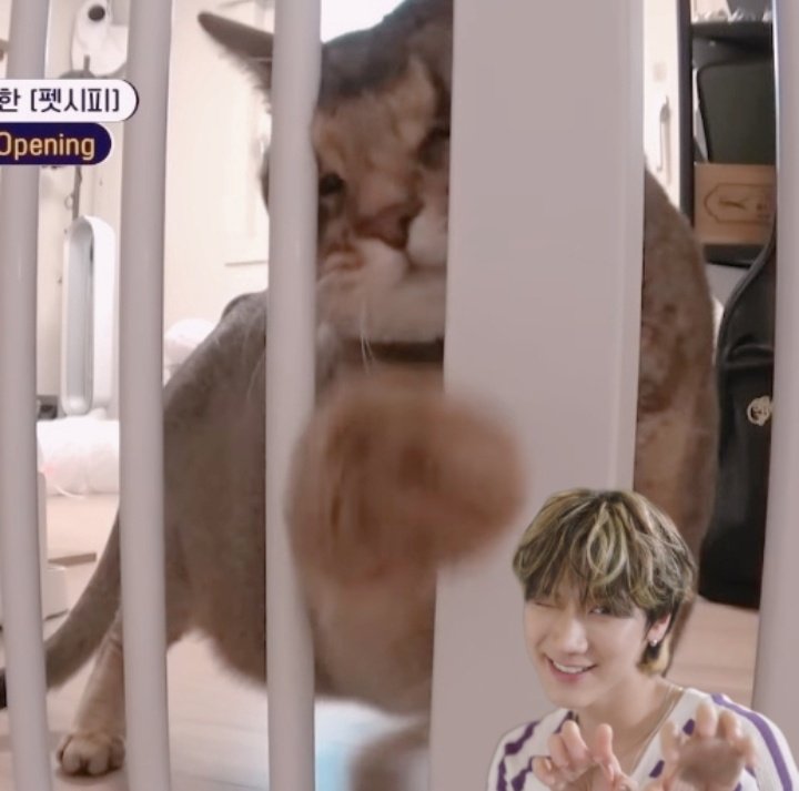 ꒰𝙂𝙐𝙈𝙈𝙔 𝙇𝙀𝙀꒱ tweet media