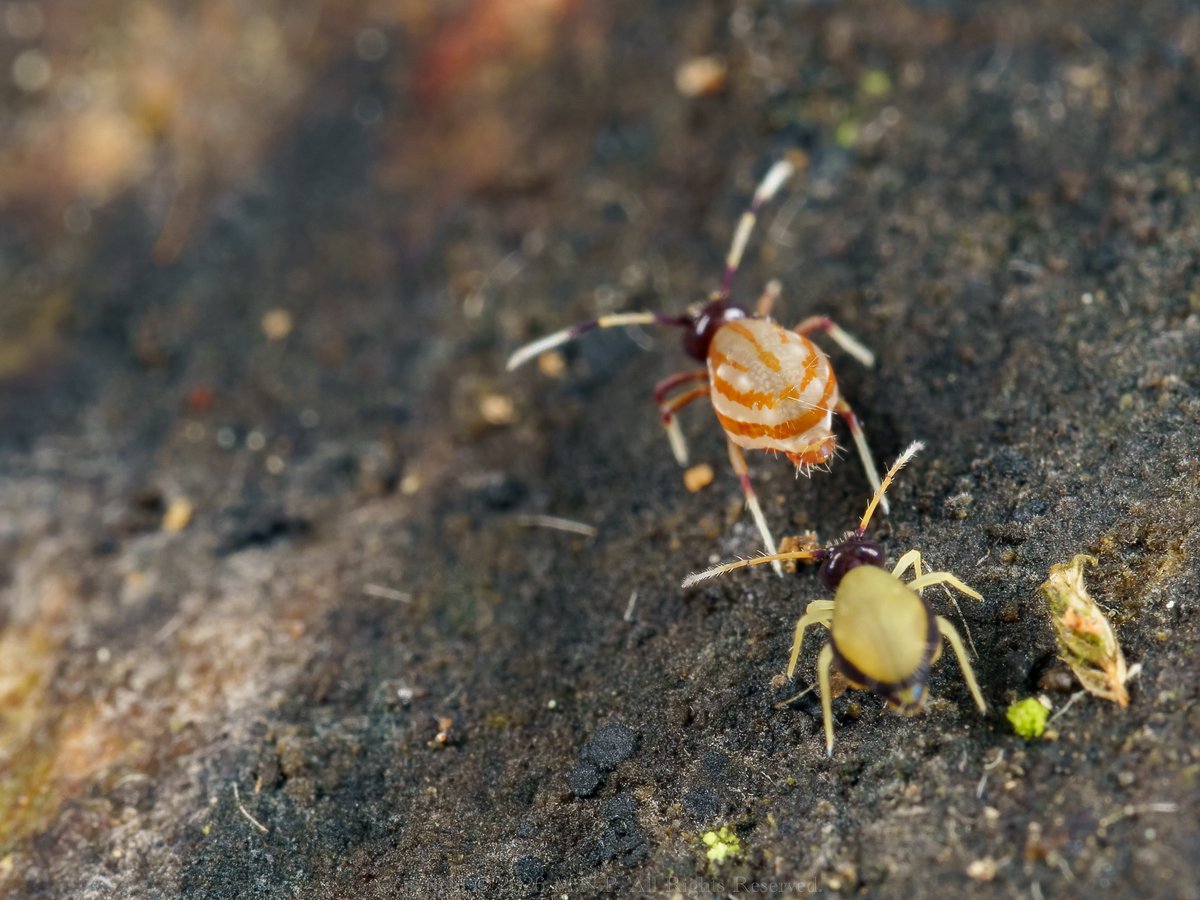まさ tweet media