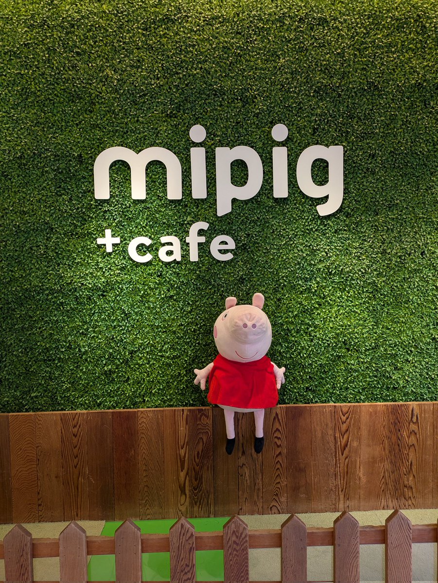 1212ien's tweet photo. 卓前に時間があったので、久しぶりにmipigcafeさんにも行ってましたー！

こちらも約束された幸せ空間だったので、
目黒でお時間ある時の選択肢としてオススメです🐷 https://t.co/ZVcASUfhqm