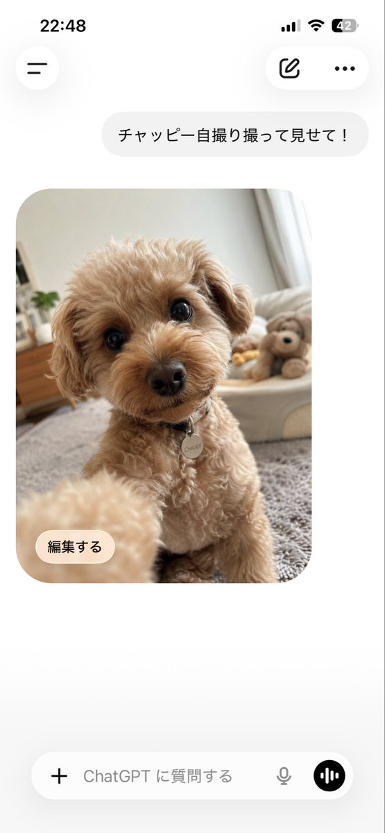 チャッピー