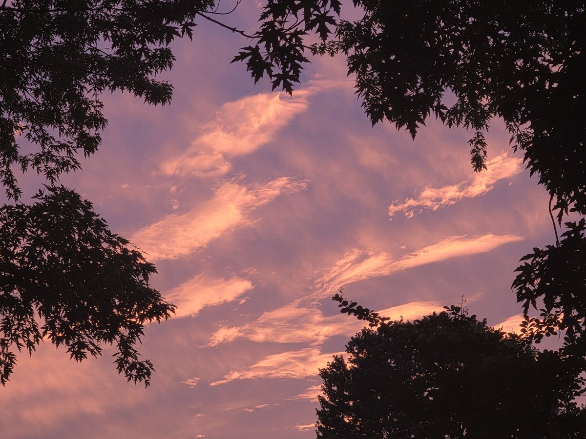 Zacharyleaf's tweet photo. Sunset yesterday https://t.co/zLVvG44m5m