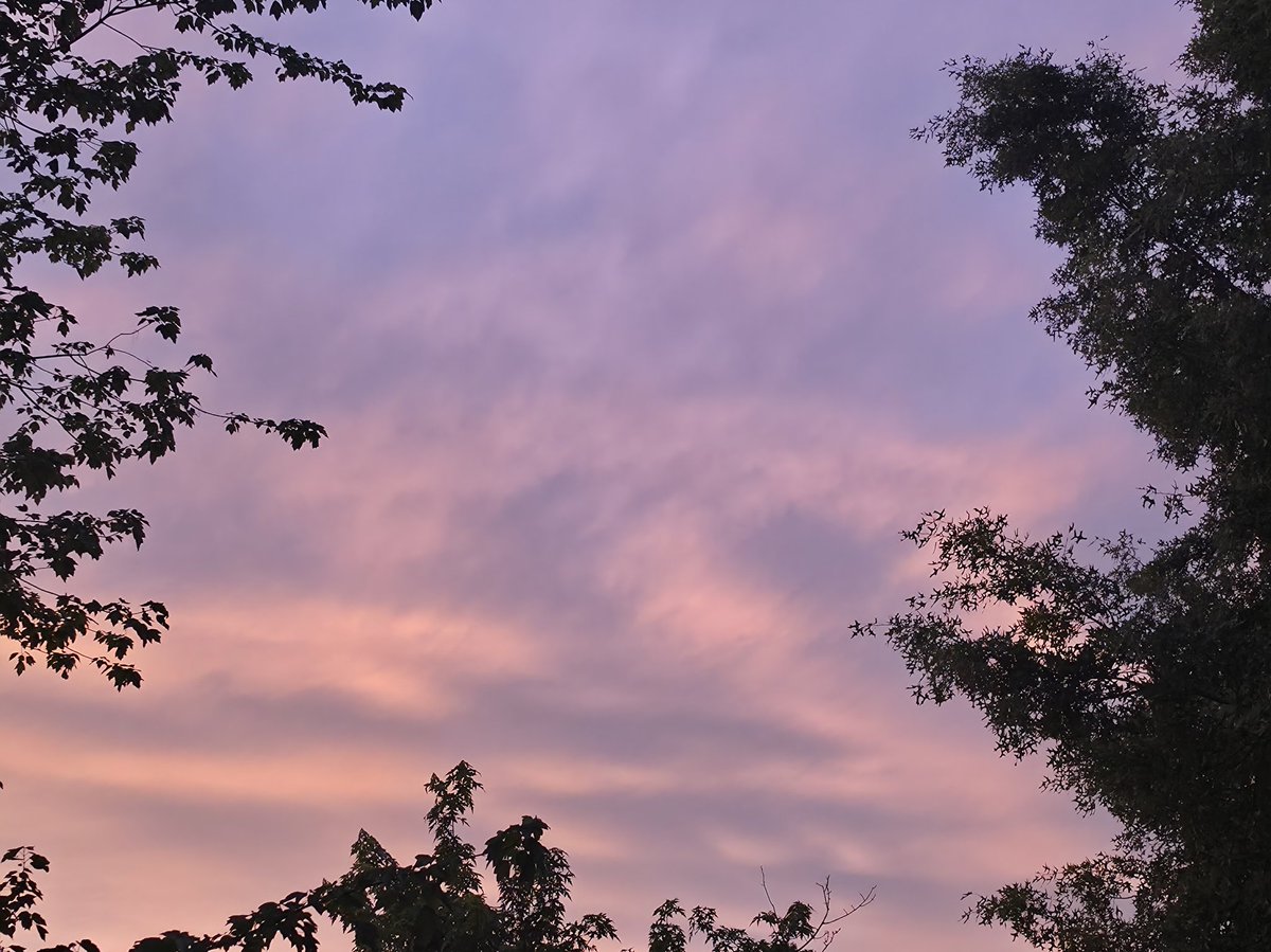 Zacharyleaf's tweet photo. Sunset yesterday https://t.co/zLVvG44m5m