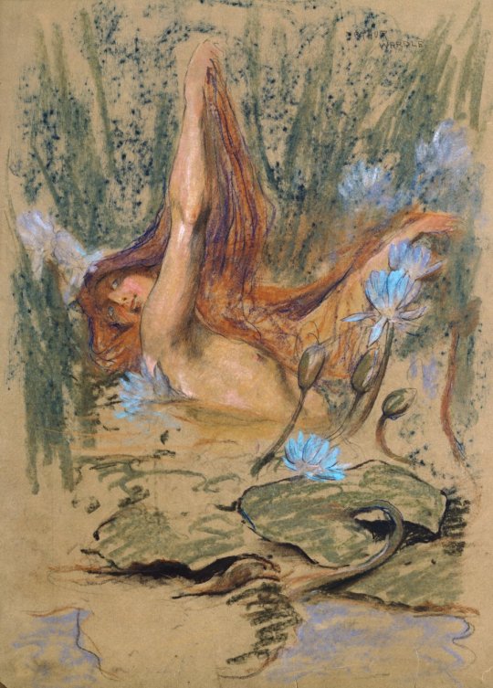 RonanBourgeat's tweet photo. Nymphea, c.1890 by Arthur Wardle (English, 1864–1949). #nymphea #arthurwardle #art #nature #foret #classic #mythe #legendaire https://t.co/cCUXPZKNFo