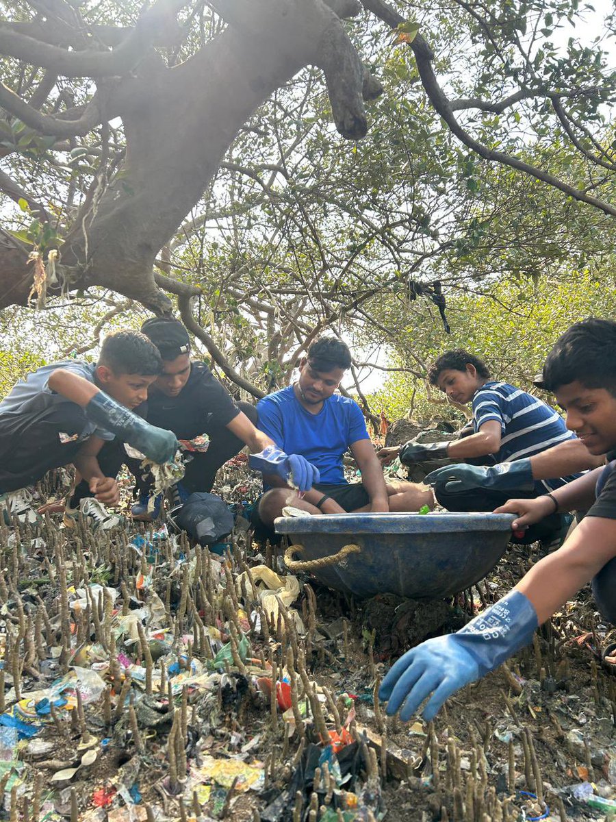 AfrozShah1's tweet photo. Week 582 .

Heat and our hands move together . 

2nd cleanup of the day .

Daana pani  beach .

Our Saturday ends . https://t.co/GrV1UBQo6B