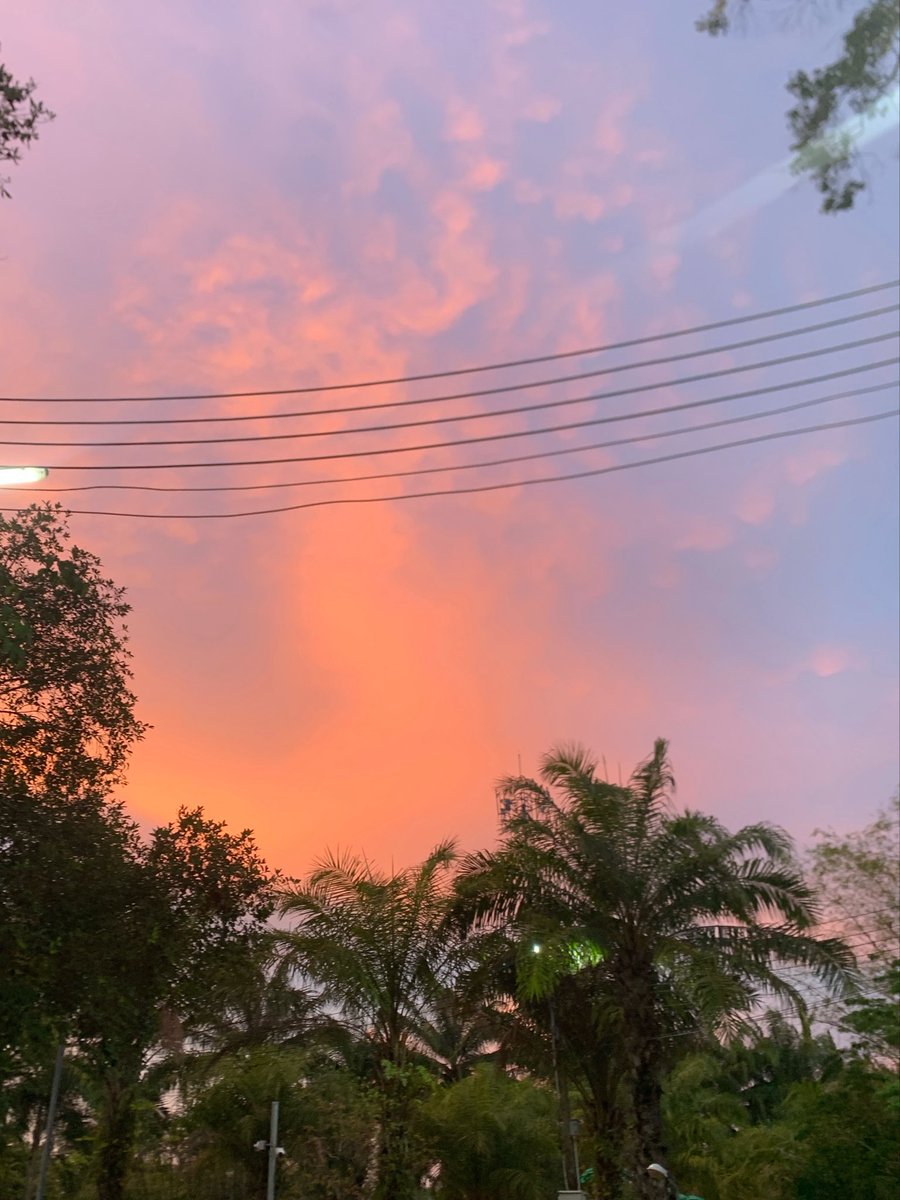 stnylll's tweet photo. 🌳
#นครศรีธรรมราช https://t.co/FIB5JGg0yT