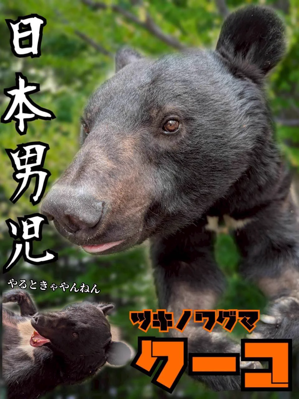 宇都宮動物園【公式】 on X: 