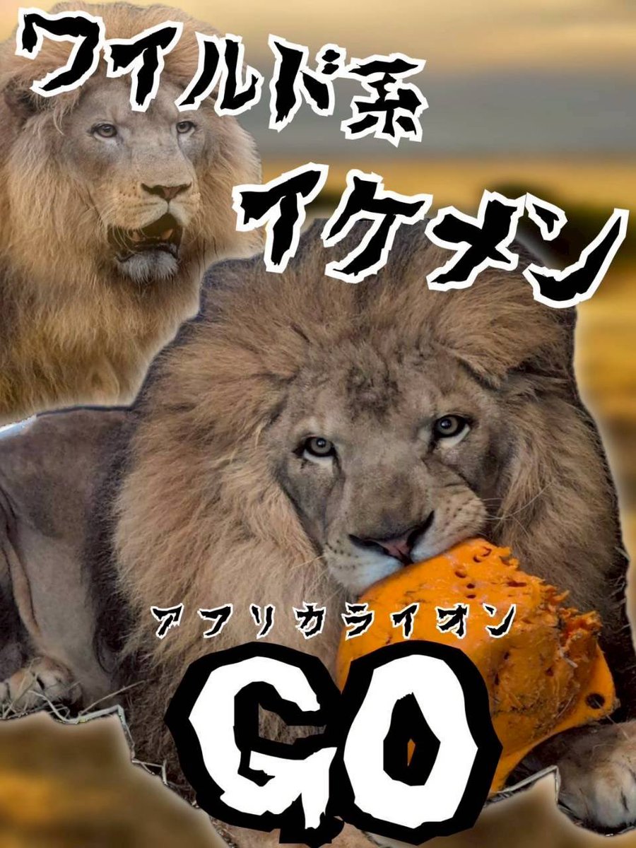 出馬メンバー紹介】 ⑨日本男児 #ツキノワグマ「#クーコ」 ⑩細