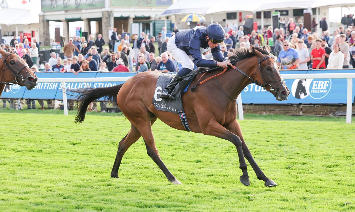 Racing Post Bloodstock tweet media