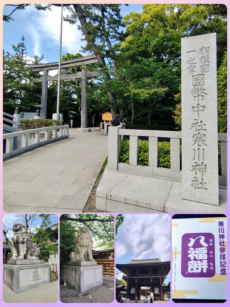 一比一眼镜进货[微信10086082]