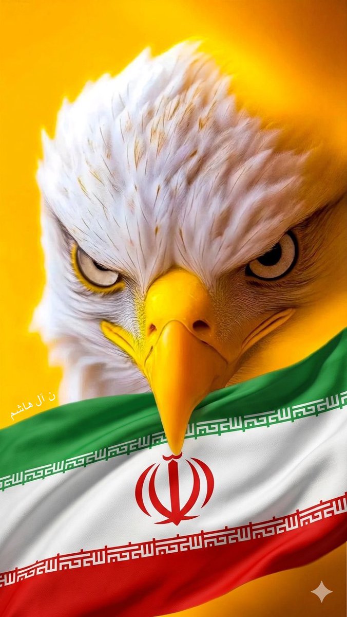 ن آل هاشم tweet media