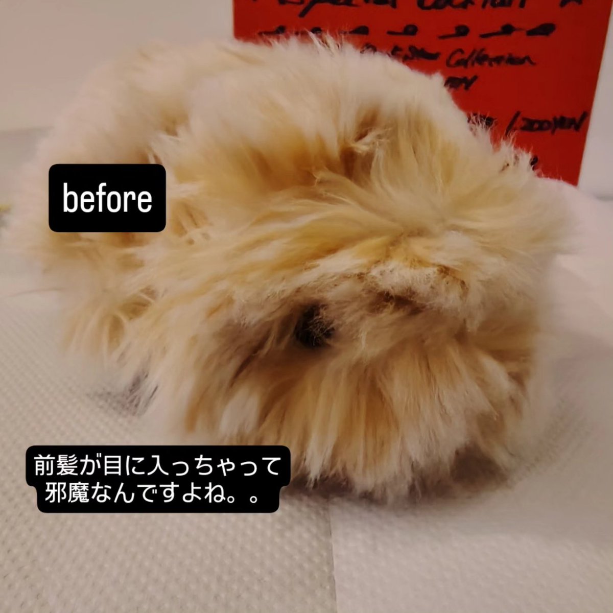 ヘアメイクあんじぇ tweet media