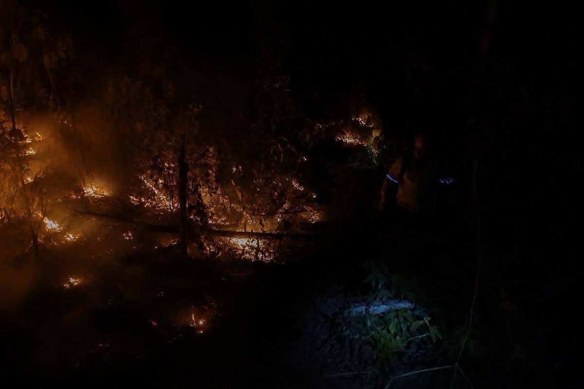 Euniceumanzor14's tweet photo. Qué “raro” como se queman lugares donde se han querido construir residenciales. 

Desde anoche se registra un terrible incendia en el Merendon, de San Pedro Sula, y el alcalde bien gracias! 
Sino recoge ni la basura va https://t.co/ZRLs411xJM
