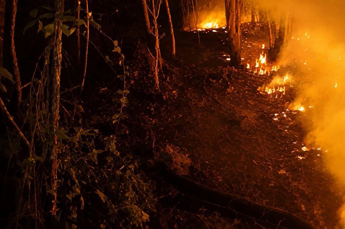 Euniceumanzor14's tweet photo. Qué “raro” como se queman lugares donde se han querido construir residenciales. 

Desde anoche se registra un terrible incendia en el Merendon, de San Pedro Sula, y el alcalde bien gracias! 
Sino recoge ni la basura va https://t.co/ZRLs411xJM
