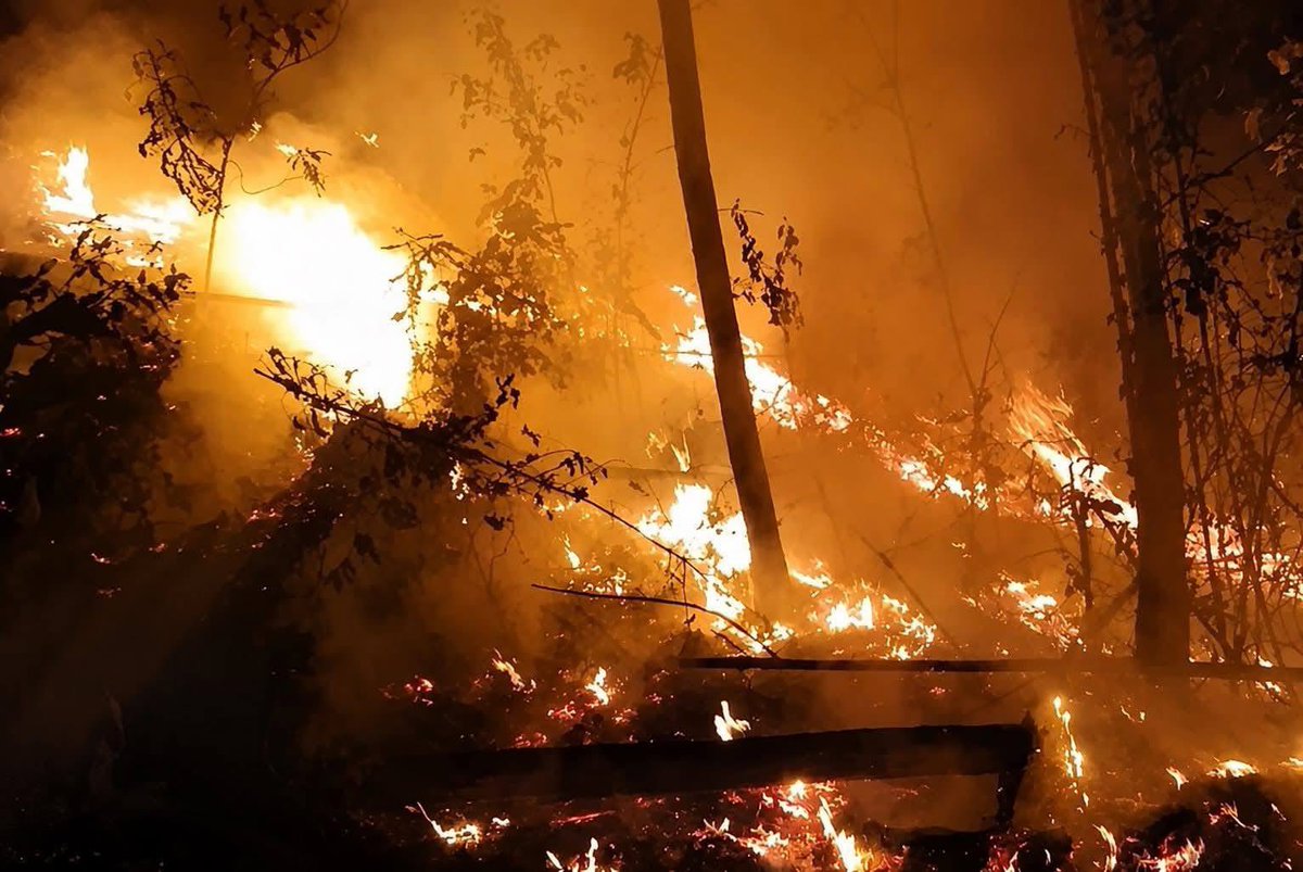 Euniceumanzor14's tweet photo. Qué “raro” como se queman lugares donde se han querido construir residenciales. 

Desde anoche se registra un terrible incendia en el Merendon, de San Pedro Sula, y el alcalde bien gracias! 
Sino recoge ni la basura va https://t.co/ZRLs411xJM