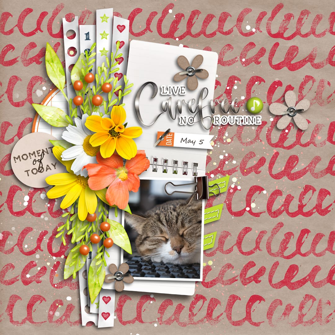 akizo_'s tweet photo. LAST MUNITES! Must Have - Routine | Bundle *65% OFF Now*
https://t.co/GqXITfd3Xm
#akizodesigns #NewRelease #MEDLEYofMEMORiES #scrapbooking #digitalscrapbooking #pickleberrypop #MustHave #MustHaveBundle #DigitalKit #デジタルスクラップブッキング #スクラップブッキング https://t.co/QI1fx5Jhun