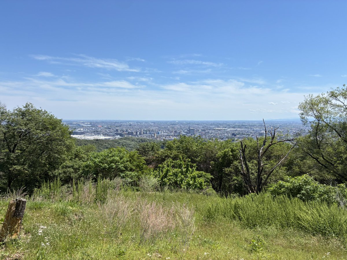 suumo_don's tweet photo. ナビロゲ！
ソーセージやサンドも美味しかったし、天気も景色も良くて楽しかった！☀️🥰
あと、初の太田市で圧倒的スバルを感じた！✨ https://t.co/W7grZGA7jU