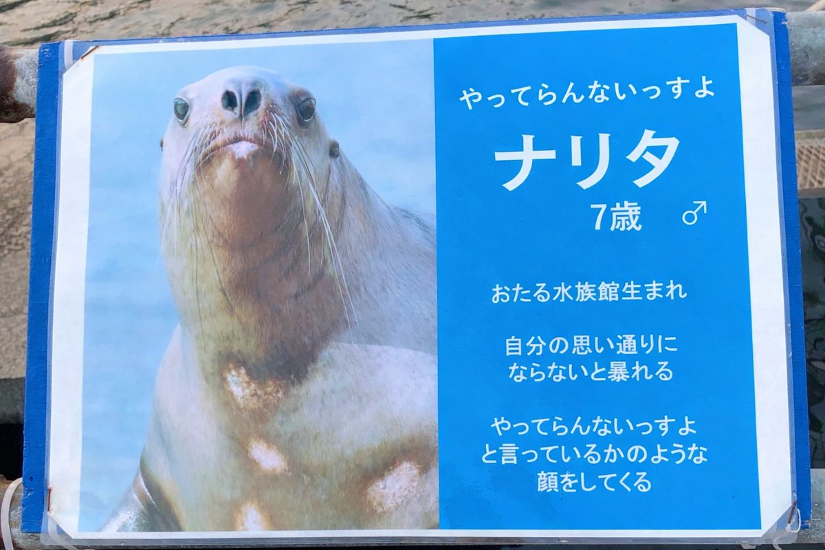 とうま tweet media