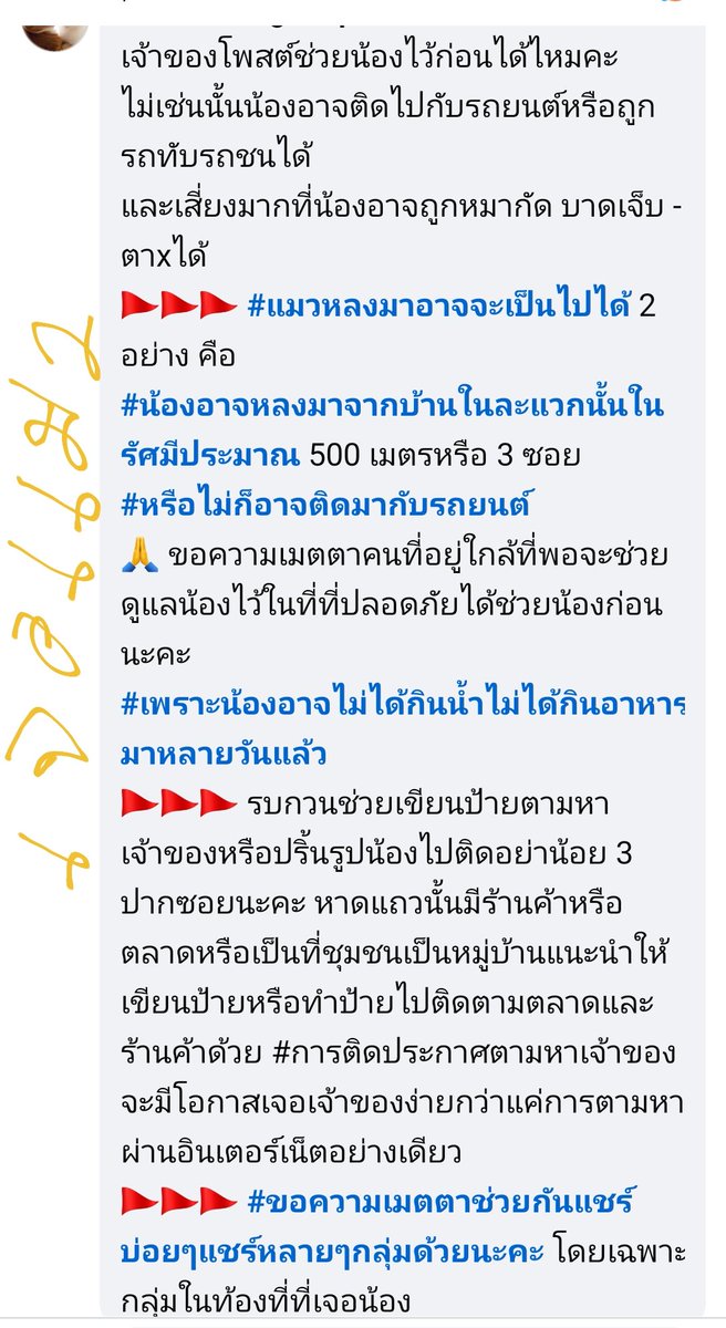 ↑😎 เหมียวไม่ใช่แอคฯ ฉอด 😼↓ tweet media