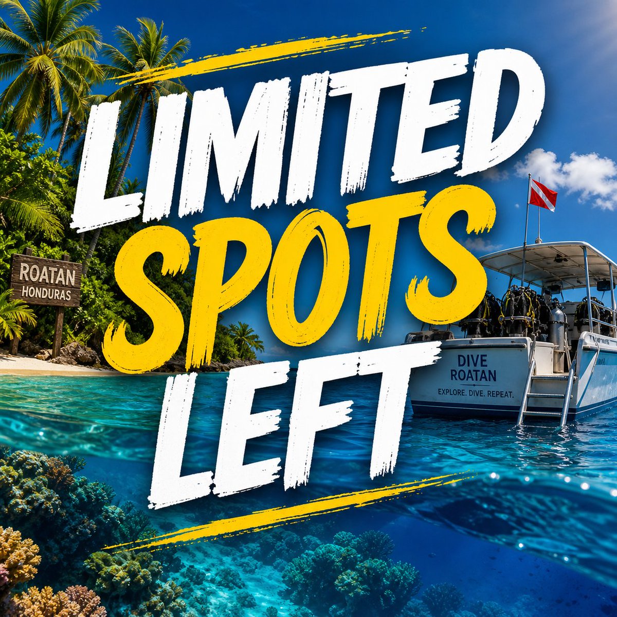 SoMdDivers's tweet photo. ⚠️ Let’s be blunt…

This trip WILL sell out.

Every year, people wait…
Every year, they miss it.

Don’t be that diver watching everyone else’s photos.

👉 Lock your spot NOW
https://t.co/8QBmfn2RwQ

#SoMdDivers #DiveTrip #DontMissOut #ScubaVacation #DiveCrew https://t.co/HSV1WeiUzw