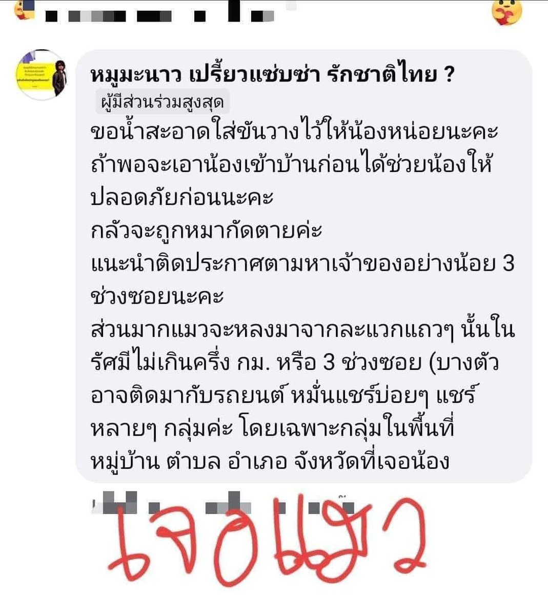 ↑😎 เหมียวไม่ใช่แอคฯ ฉอด 😼↓ tweet media