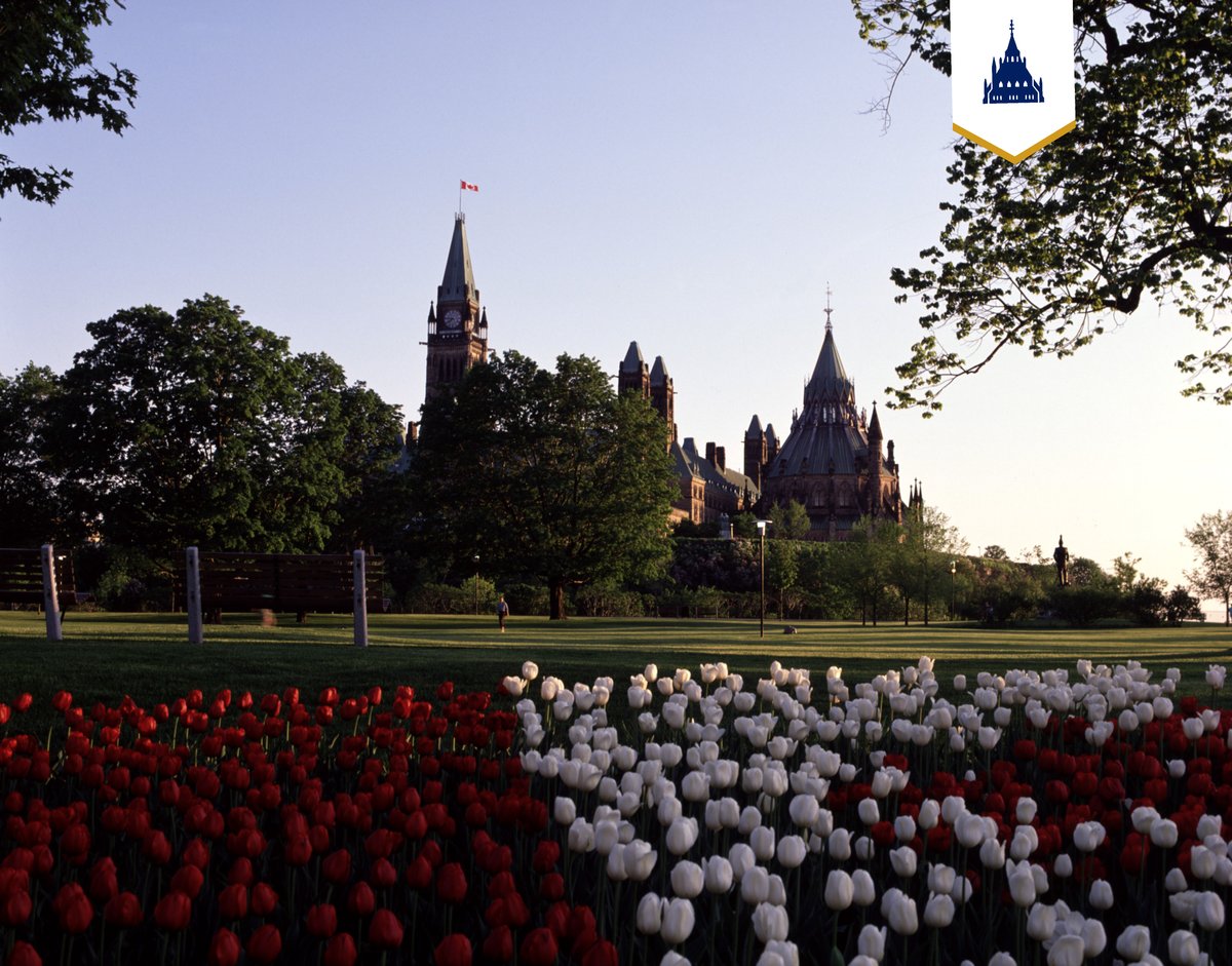 Library of Parliament tweet media