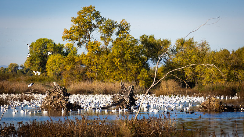 Bureau of Reclamation tweet media
