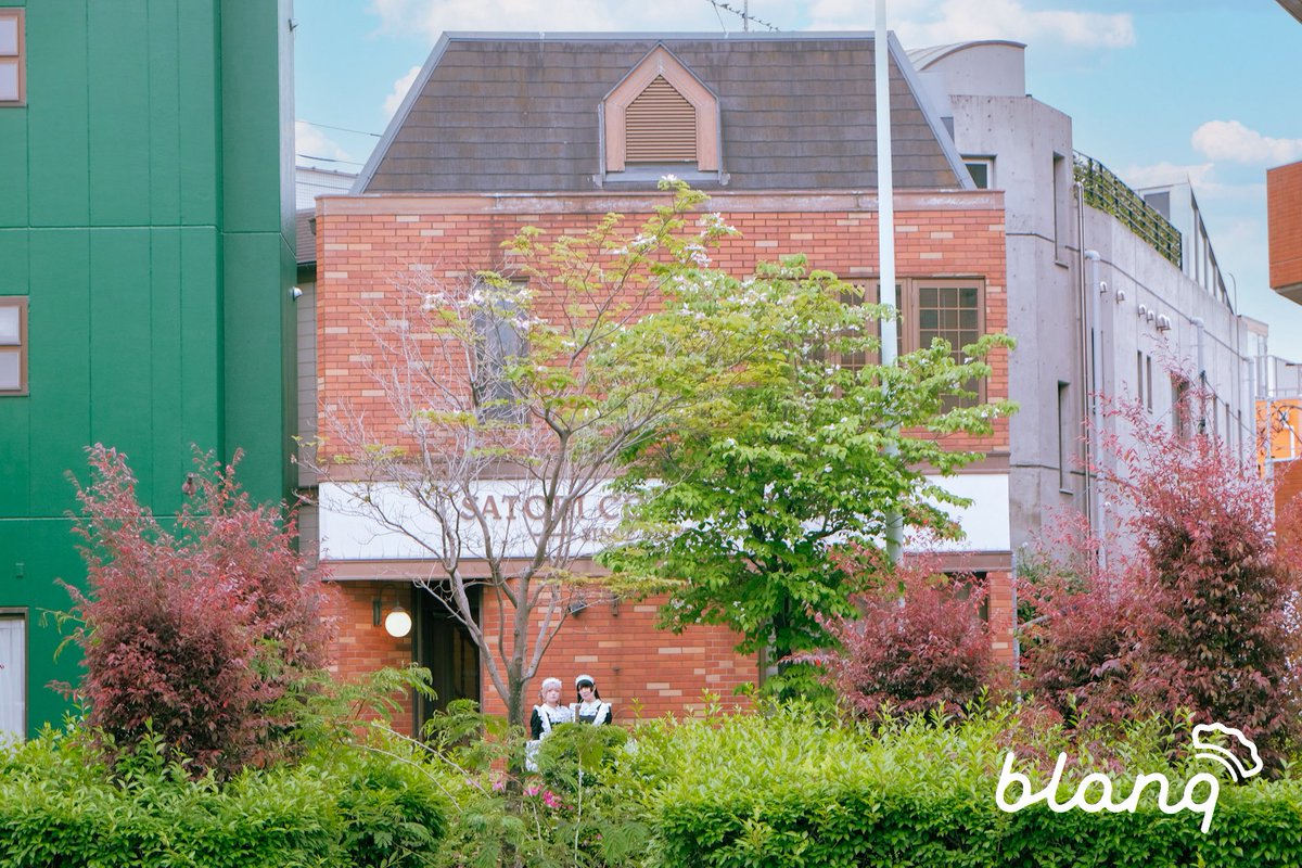 メイドカフェ＆バー blanq tweet media