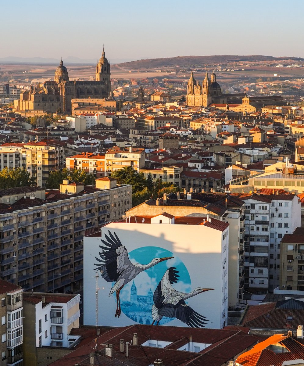 🎭 Historia en las fachadas, arte en los muros: la ciudad de Salamanca en equilibrio perfecto